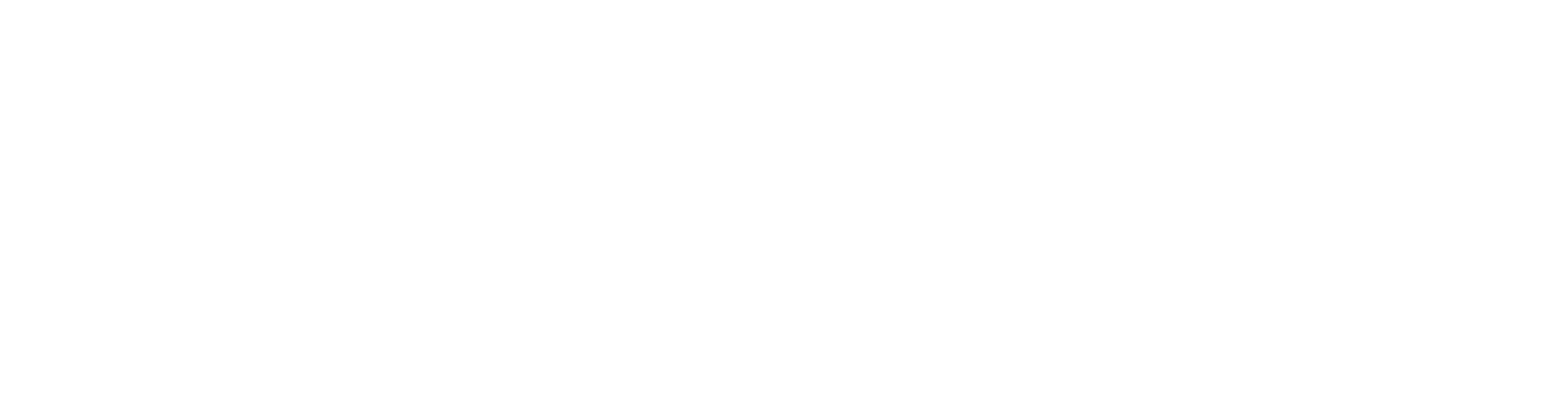Propel Logo Horizontal Secondary White